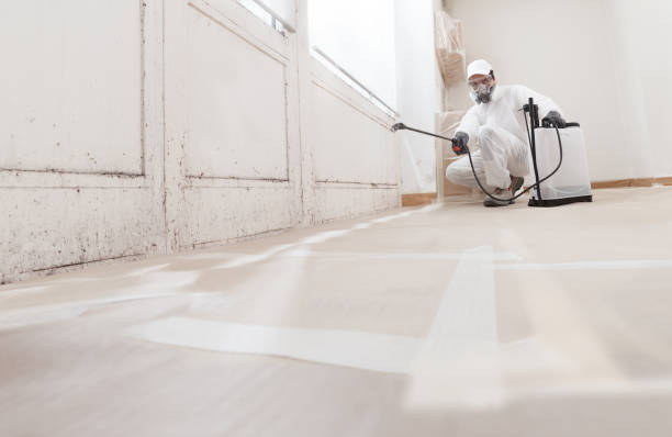 24/7 Emergency Black Mold Removal experts in Coats, NC