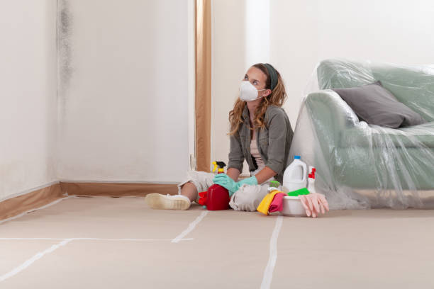 Reliable Black Mold Removal contractor in Coats, NC by WQB Mold Removal